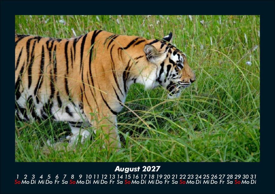 InsideView 12