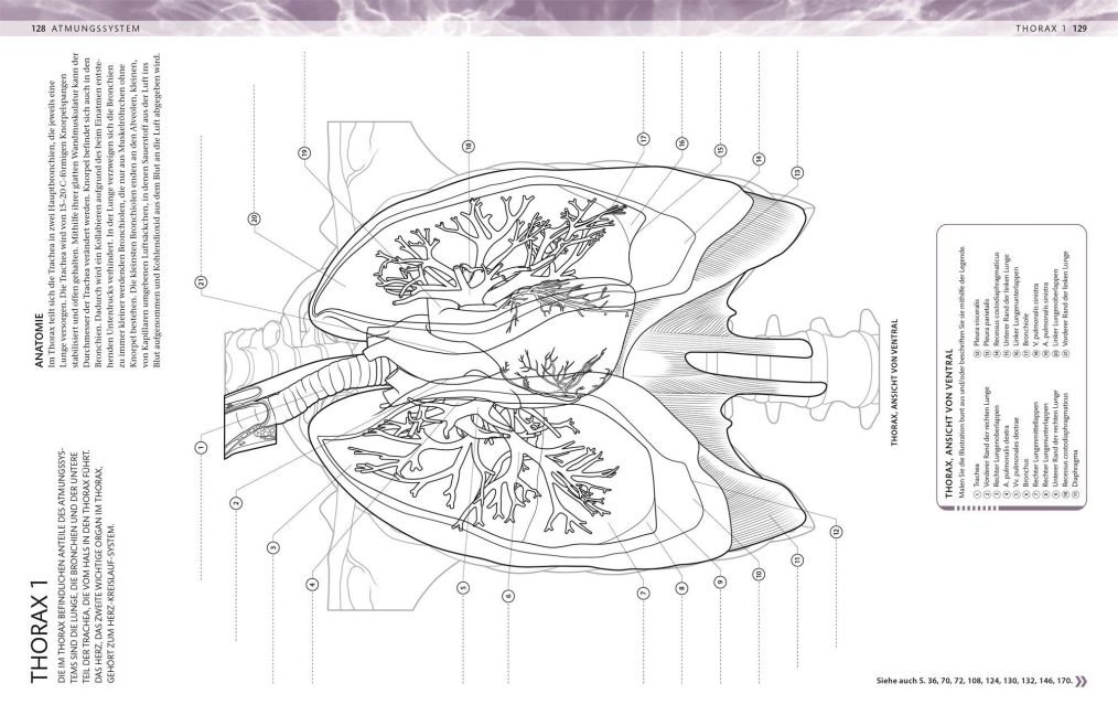 InsideView 6