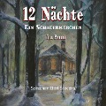 Cover-Bild zum Titel '12 Nächte' von 'Till Pahlke'
