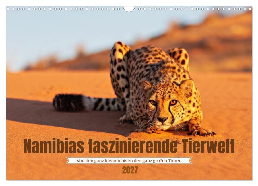 Namibias faszinierende Tierwelt (Wandkalender 2027 DIN A3 quer), CALVENDO Monatskalender - Michael Voß