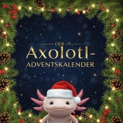Cover-Bild zum Titel 'Der Axolotl-Adventskalender' von 'Nora Schmid'