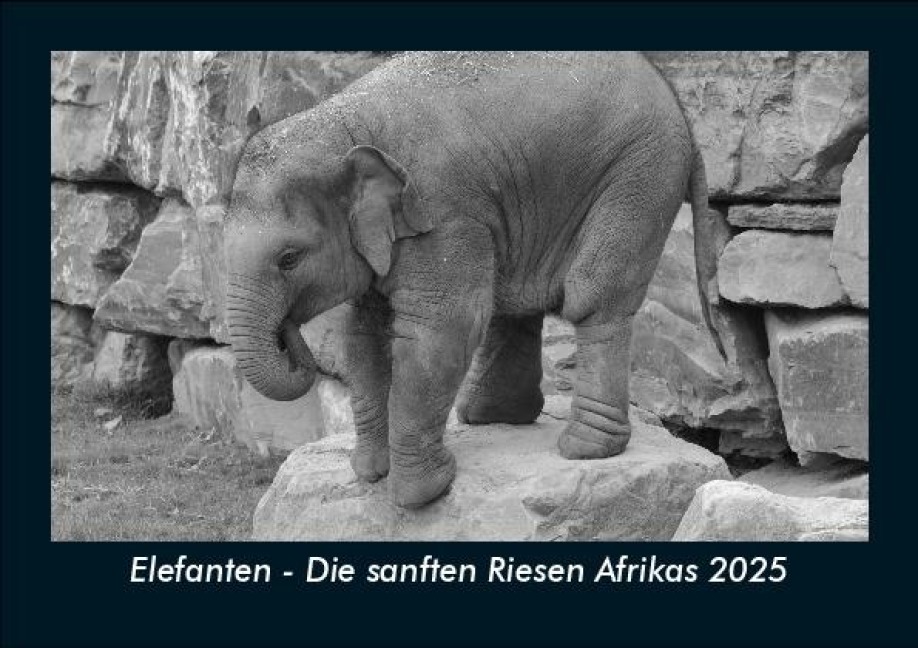 Elefanten - Die sanften Riesen Afrikas 2025 Fotokalender DIN A5 - Tobias Becker