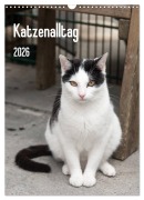 Cover-Bild zum Titel 'Katzenalltag 2026 (Wandkalender 2026 DIN A3 hoch), CALVENDO Monatskalender' von 'Daniela Scholz'