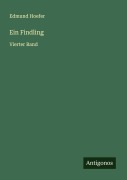 Cover-Bild zum Titel 'Ein Findling' von 'Edmund Hoefer'
