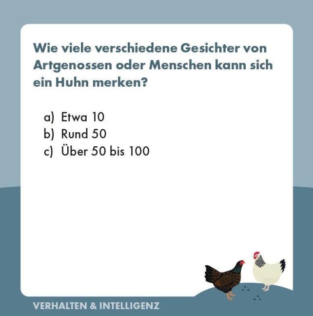 InsideView 1