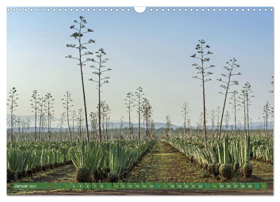 InsideView 6