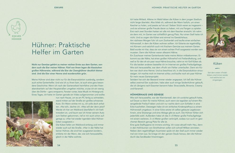 InsideView 4