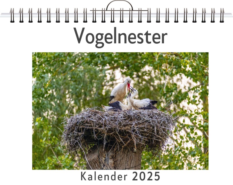 Vogelnester - (Wandkalender 2025, Kalender DIN A4 quer, Monatskalender im Querformat mit Kalendarium, das perfekte Geschenk) - Luca Krause