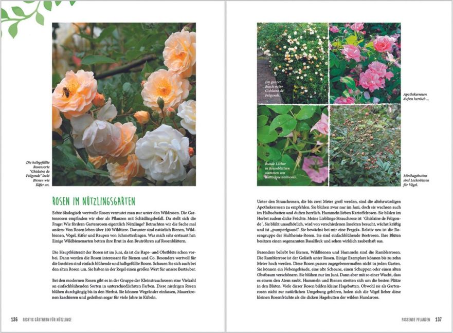 InsideView 11