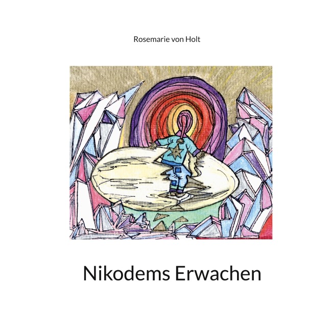 Nikodems Erwachen - Rosemarie von Holt