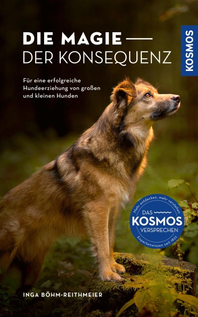Die Magie der Konsequenz - Inga Böhm-Reithmeier