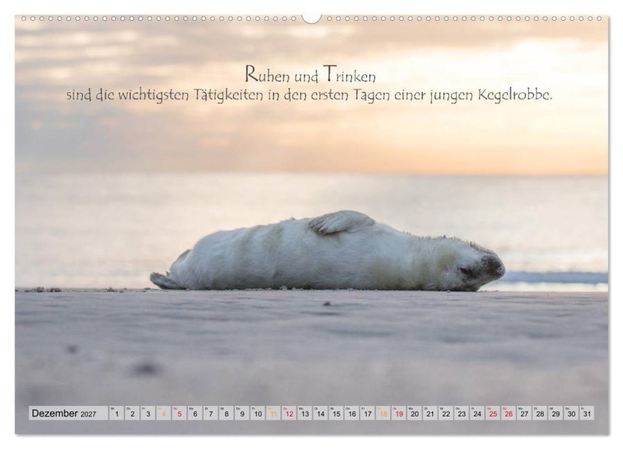 InsideView 4