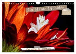Cover-Bild zum Titel 'La Mante Orchidée (Calendrier mural 2026 DIN A4 vertical), CALVENDO calendrier mensuel' von 'Roland Brack'