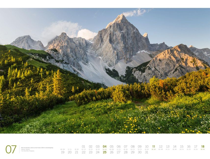 InsideView 7