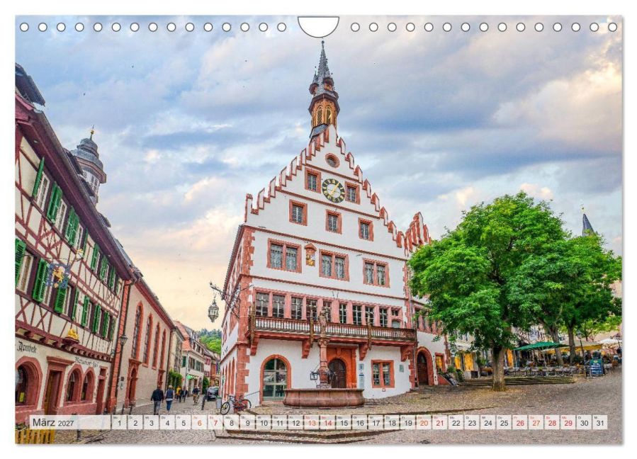 InsideView 8