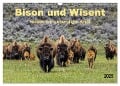 Bison und Wisent - Riesen mit unbändiger Kraft (Wandkalender 2025 DIN A3 quer), CALVENDO Monatskalender - Peter Roder