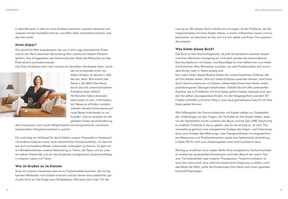 InsideView 5