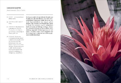 InsideView 4