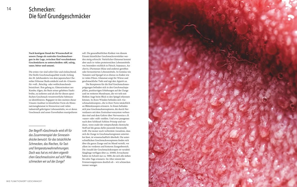 InsideView 2