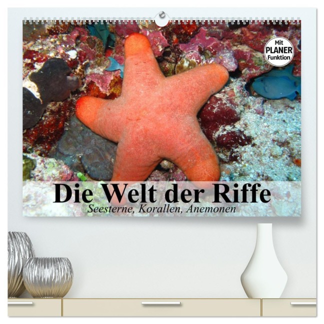 Die Welt der Riffe. Seesterne, Korallen, Anemonen (hochwertiger Premium Wandkalender 2026 DIN A2 quer), Kunstdruck in Hochglanz - Elisabeth Stanzer