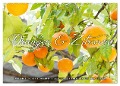 Emotionale Momente: Orangen & Zitronen. (Wandkalender 2025 DIN A2 quer), CALVENDO Monatskalender - Ingo Gerlach
