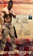Cover-Bild zum Titel 'The Soldier and The Writer' von 'Jamallah Bergman'
