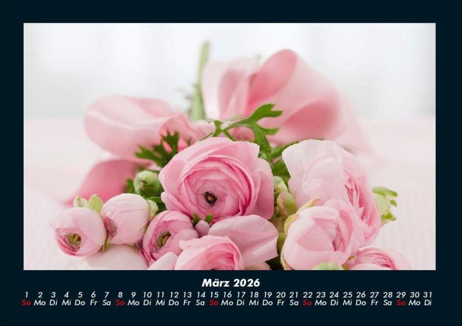 InsideView 7