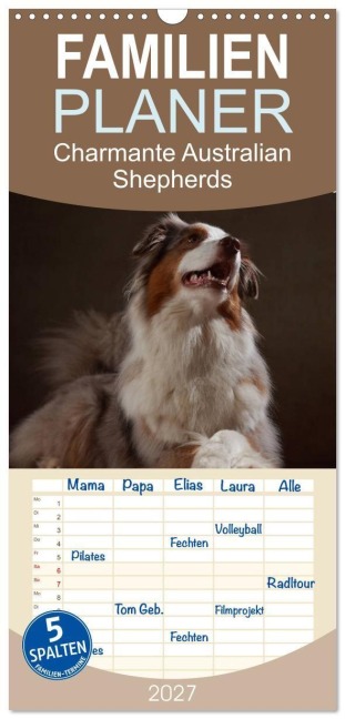 Familienplaner 2027 - Charmante Australian Shepherds mit 5 Spalten (Wandkalender, 21 x 45 cm) CALVENDO - Jana Behr