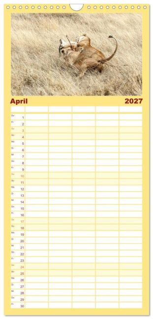 InsideView 8