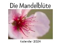 Die Mandelblüte (Wandkalender 2024, Kalender DIN A4 quer, Monatskalender im Querformat mit Kalendarium, Das perfekte Geschenk) - Anna Müller