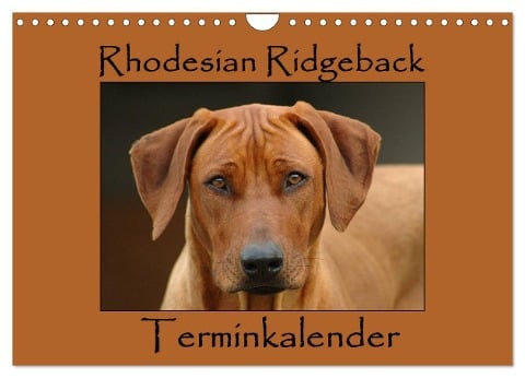 Rhodesian Ridgeback Terminkalender (Wandkalender 2025 DIN A4 quer), CALVENDO Monatskalender - Anke van Wyk - www. germanpix. net