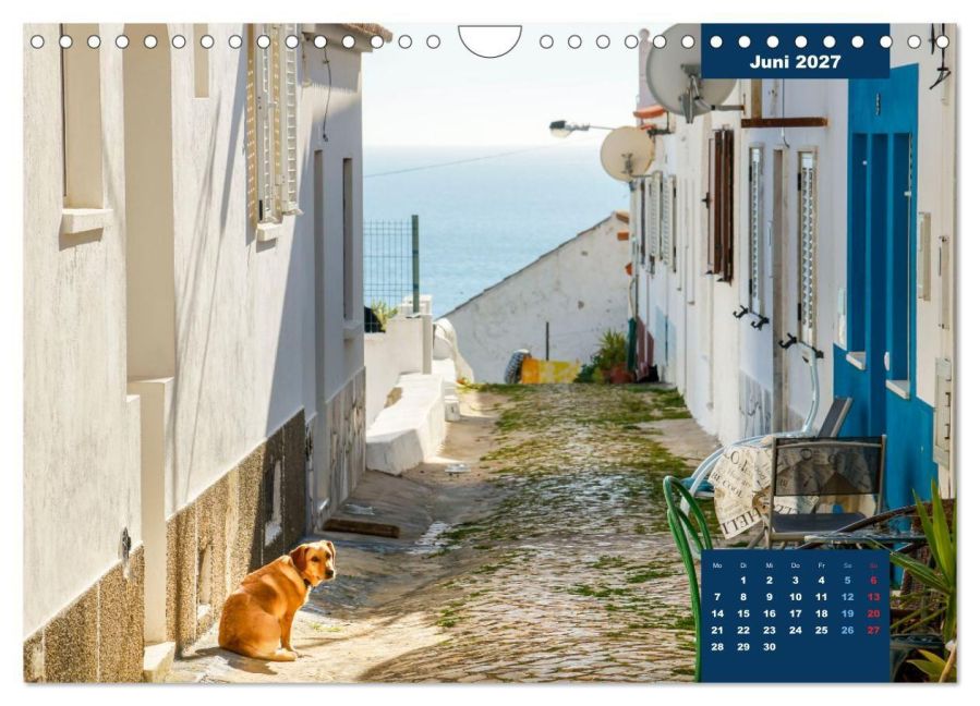 InsideView 11
