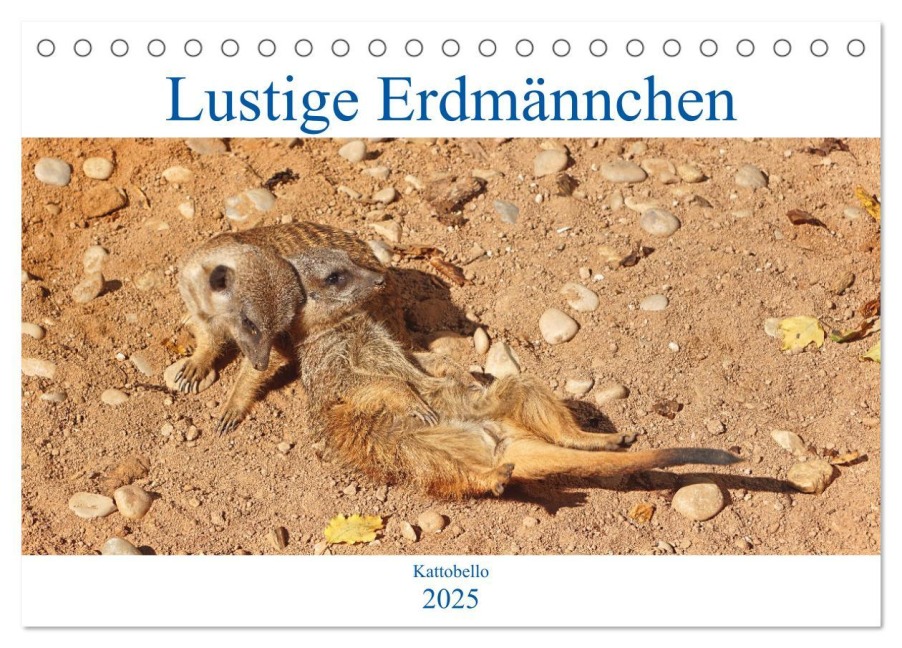 Lustige Erdmännchen (Tischkalender 2025 DIN A5 quer), CALVENDO Monatskalender - Kattobello Kattobello