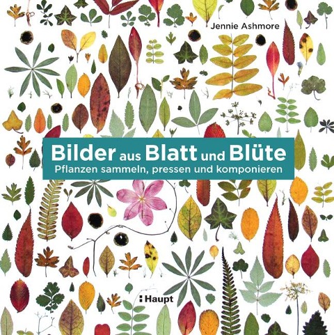 Bilder aus Blatt und Blüte - Jennie Ashmore