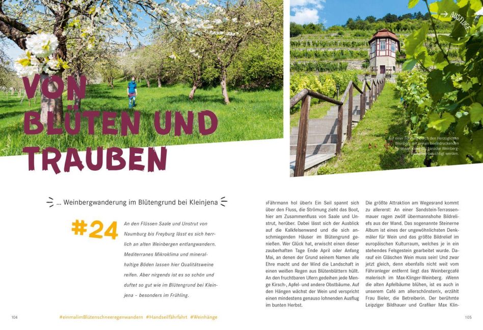 InsideView 8