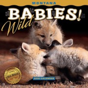 2026 Montana Wild Babies Mini Wall Calendar - 