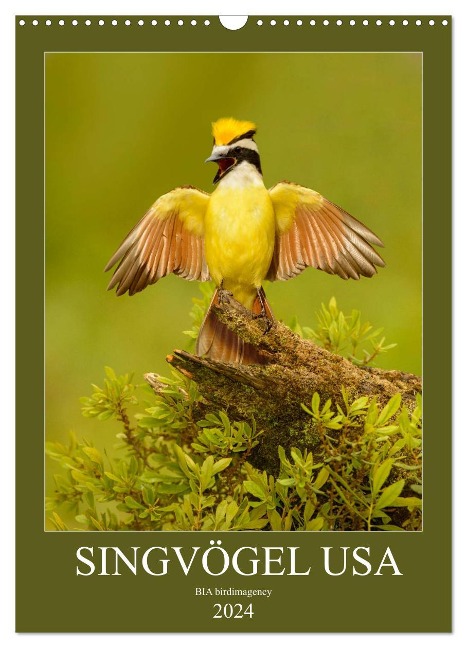 Singvögel USA (Wandkalender 2024 DIN A3 hoch), CALVENDO Monatskalender - Bia Birdimagency