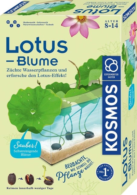 Lotus-Blume - 