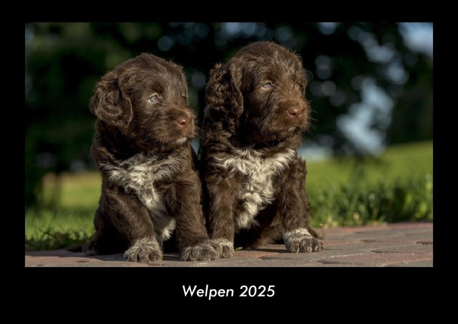 Welpen 2025 Fotokalender DIN A3 - Tobias Becker