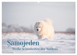 Cover-Bild zum Titel 'Samojeden - Liebenswerte Fellkugeln (Wandkalender 2026 DIN A2 quer), CALVENDO Monatskalender' von 'Annett Mirsberger'