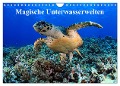 Magische Unterwasserwelten (Wandkalender 2025 DIN A4 quer), CALVENDO Monatskalender - Martin Hablützel