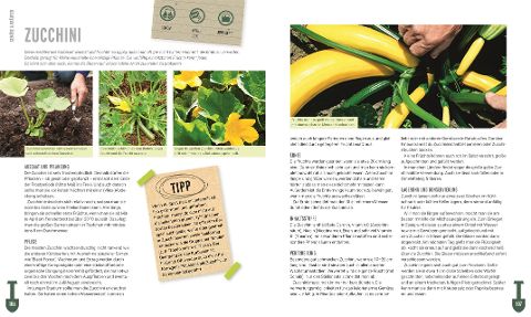 InsideView 6