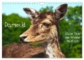 Damwild - stolze Tiere des Waldes hautnah (Wandkalender 2025 DIN A4 quer), CALVENDO Monatskalender - Marion Meyer - Stimmungsbilder1