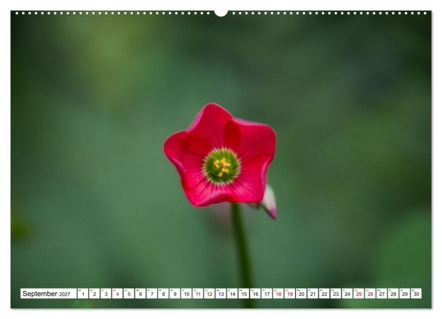 InsideView 14