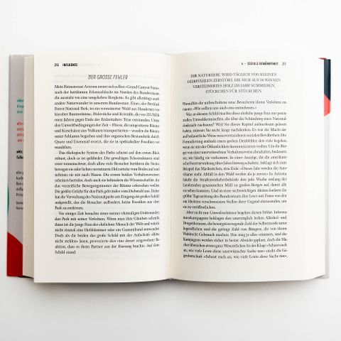 InsideView 6