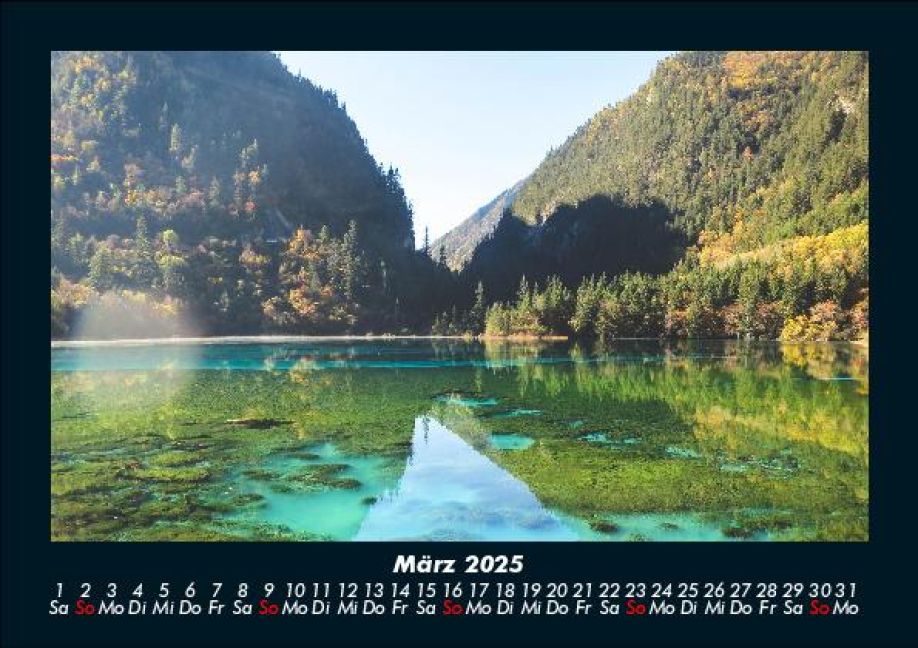 InsideView 7