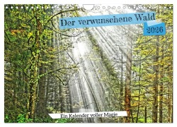 Cover-Bild zum Titel 'Verwunschene Waldträume: Ein Kalender voller Magie (Wandkalender 2026 DIN A4 quer), CALVENDO Monatskalender' von 'Jens Friedlaender'