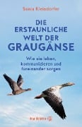 Cover-Bild zum Titel 'Die erstaunliche Welt der Graugänse' von 'Sonia Kleindorfer'