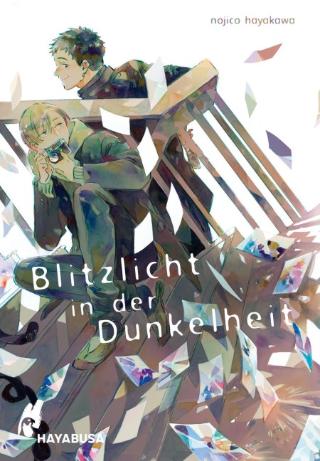 Blitzlicht in der Dunkelheit - Nojico Hayakawa