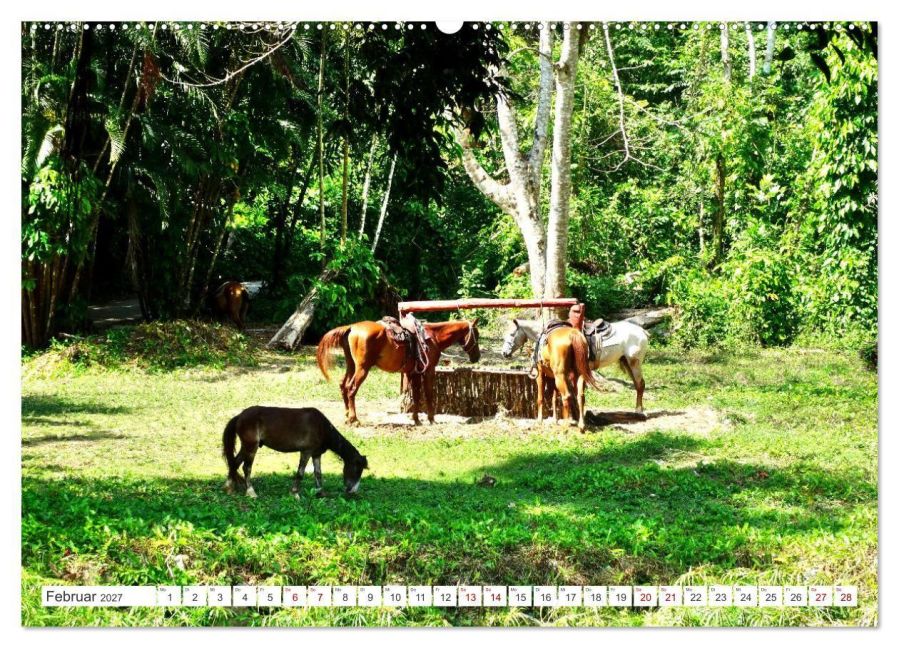 InsideView 6